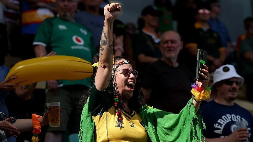 Brazil fan
